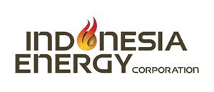 Perusahaan Energi Indonesia Terbatas