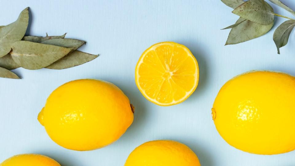 fresh lemons and sprigs of eucalyptus against a blue background