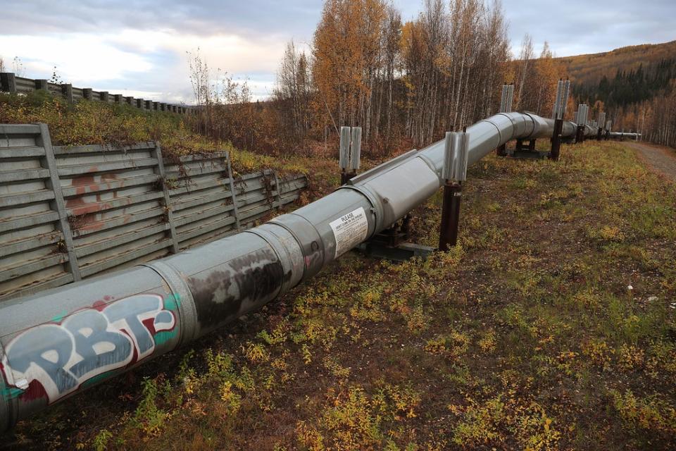 A part of the Trans Alaska Pipeline System is seen on September 17, 2019 in Fairbanks, Alaska (Getty Images)