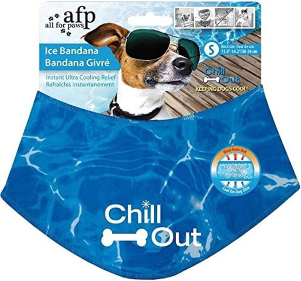 all for paws cooling bandana, cooling tips for dogs