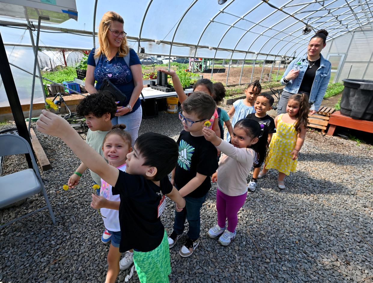 Students hold dandelions as they walk through a greenhouse.