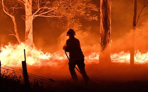 A firefighter hoses down trees and flying embers in an effort to secure nearby houses from bushfires near the town of Nowra in the Australian state of New South Wales - Credit: AFP
