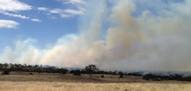 Smoke rises from the blaze near Monarto on Tuesday afternoon. Photo: Jeff Anderson.