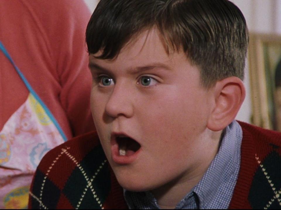 Harry Potter Dudley Dursley