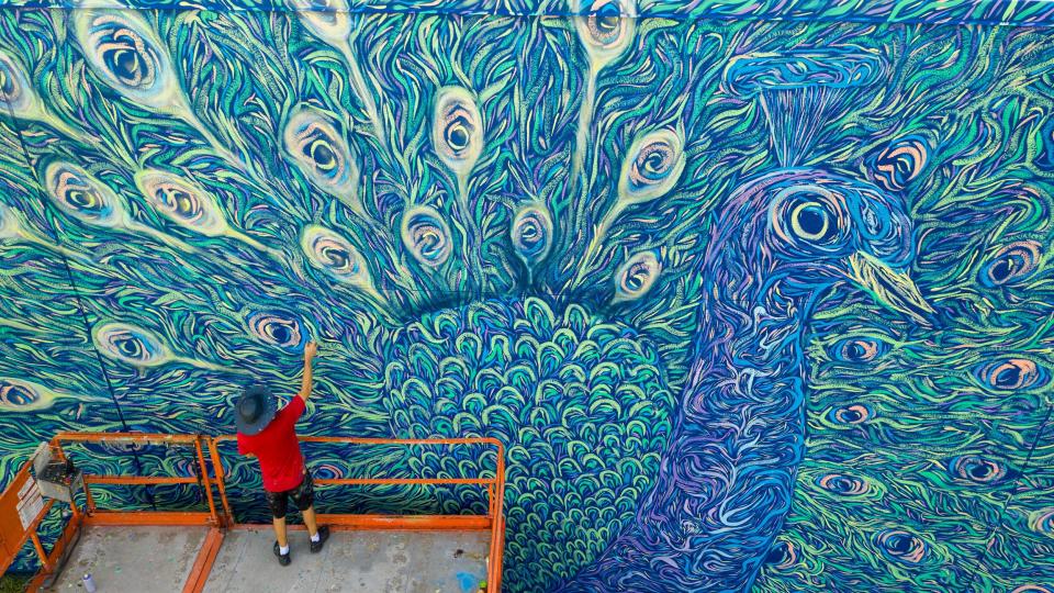 Eric Karbeling works on a large peacock mural. Karbeling, also known as Squiggle Papi, is a graphic designer and muralist based in Honolulu, Hawaii.