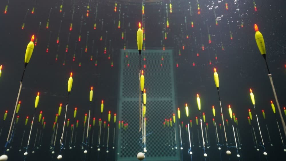  TRIDENT, China's new neutrino detector, floats in a pool. 