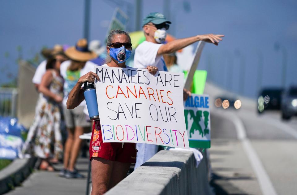 Concerned citizens gather on the Ernest Lyons Bridge for the Rally for the Manatees on Saturday, May 1, 2021, in Stuart. Organized by the RiverKidz, the event aimed to bring awareness to the 670 manatee deaths in 2021 and the decline in seagrass habitat.