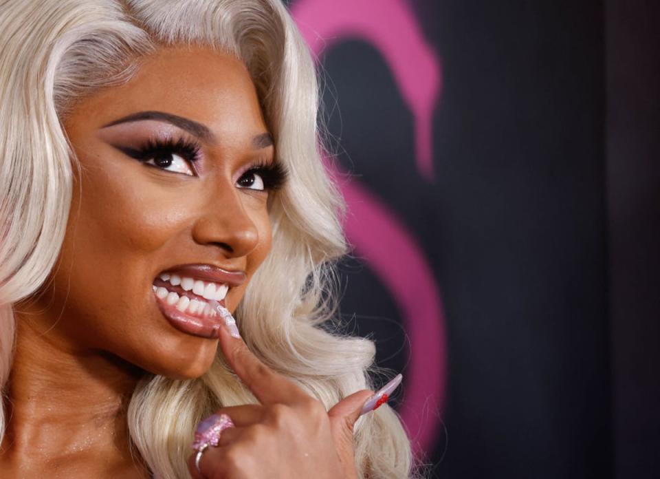 Megan Thee Stallion (pictured) and Nicki Minaj have been taking public shots at each other for years (AFP via Getty Images)