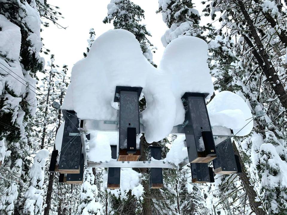 A ring of tall, rectangular metal bird feeders mounded high with snow on top.