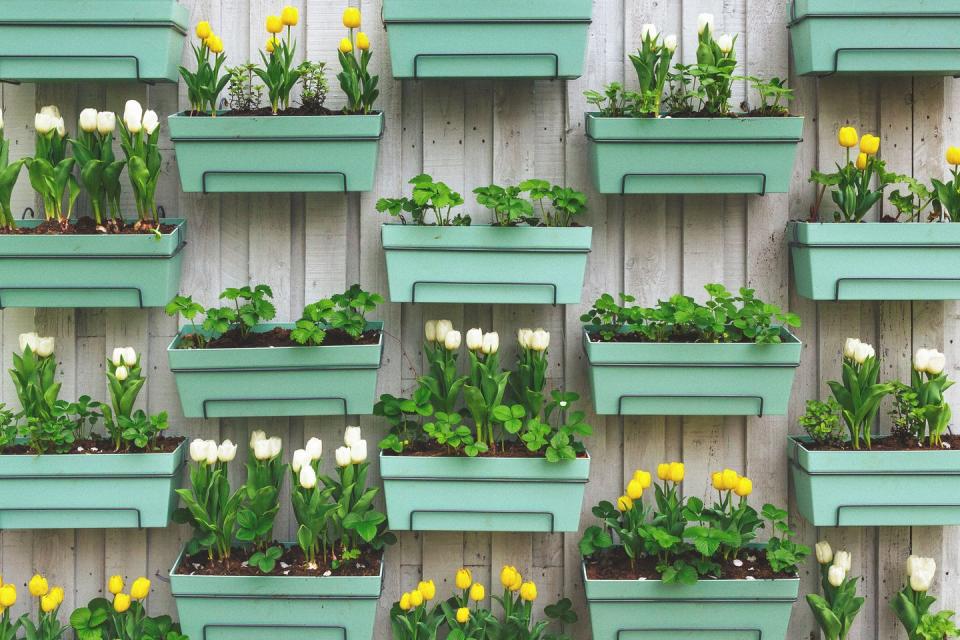 container gardening ideas