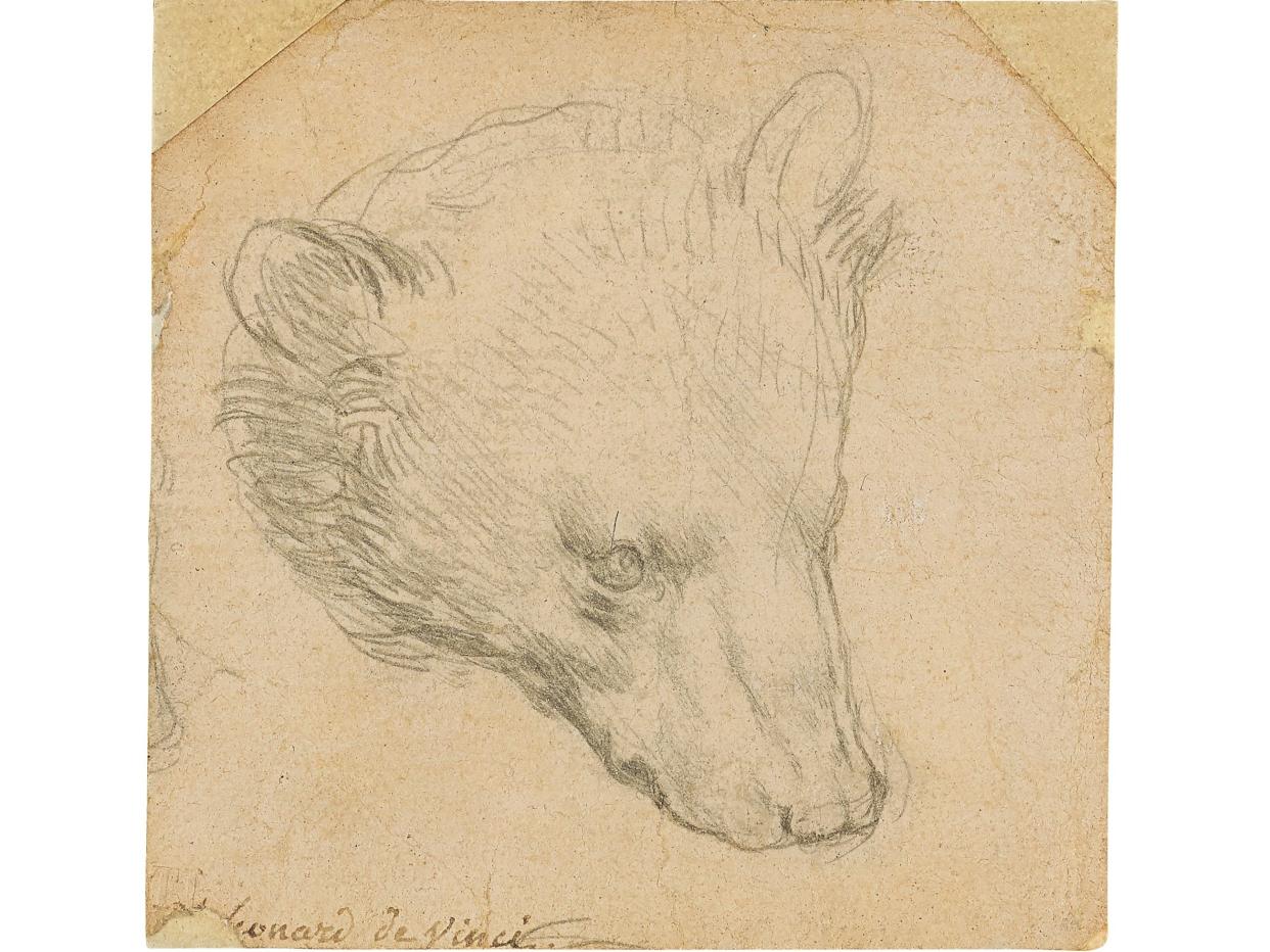 ‘Head of a Bear’ by Leonardo da Vinci (Christie’s via Reuters)