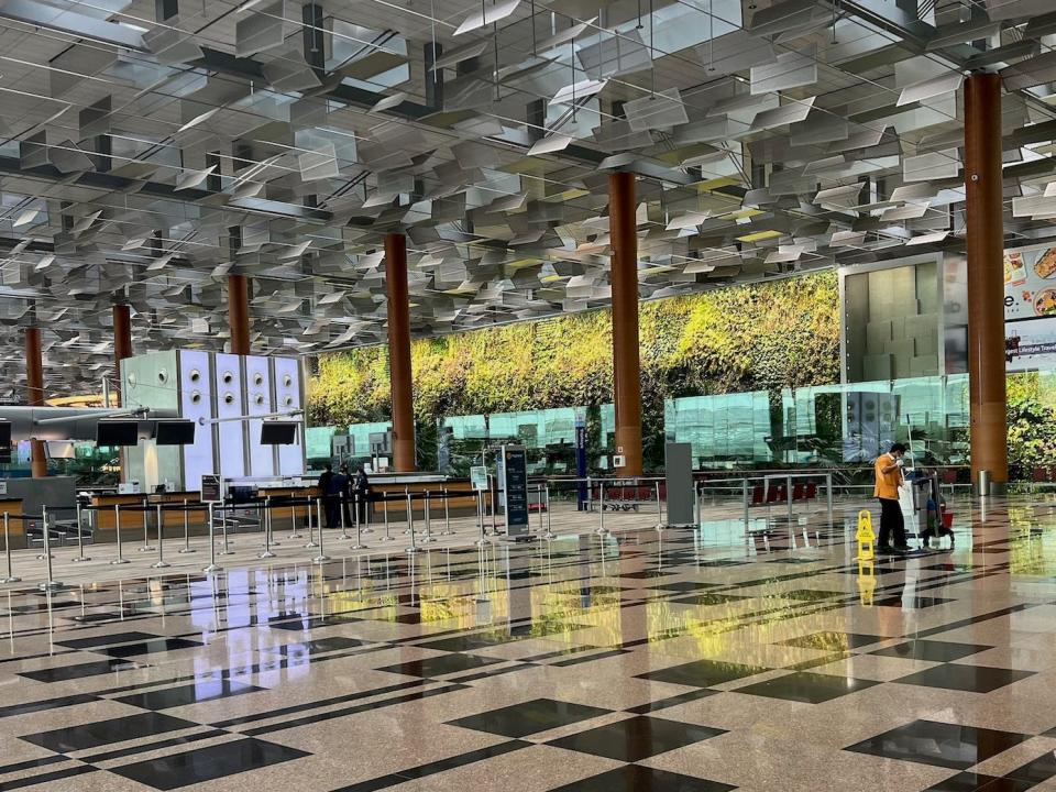 Changi's terminal 3 check-in lobby with green plants on wall.