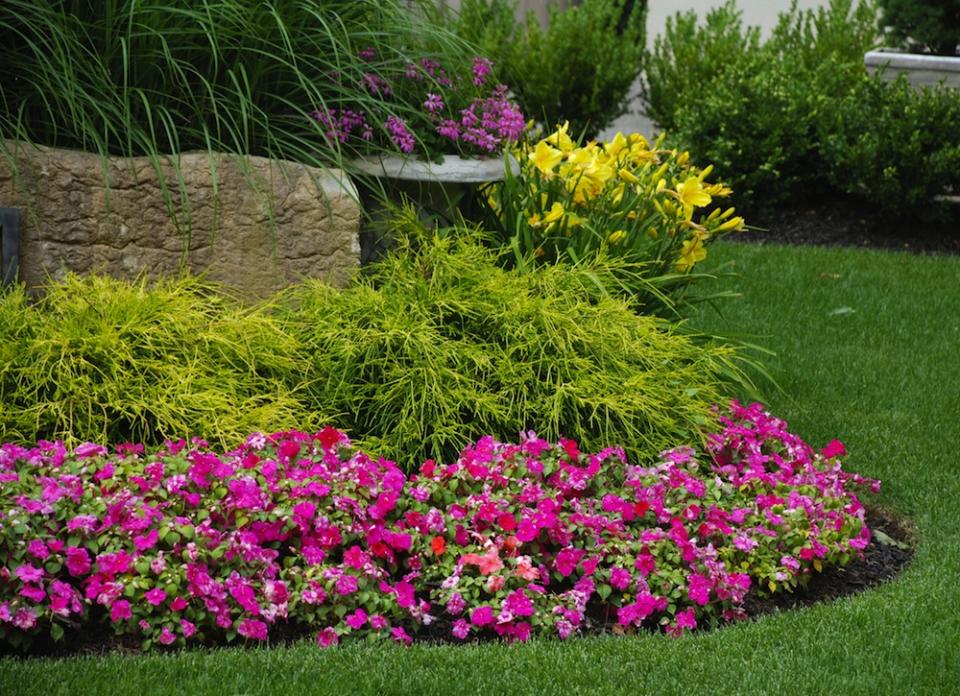 Don't Make These 8 Mistakes in Your Front Yard