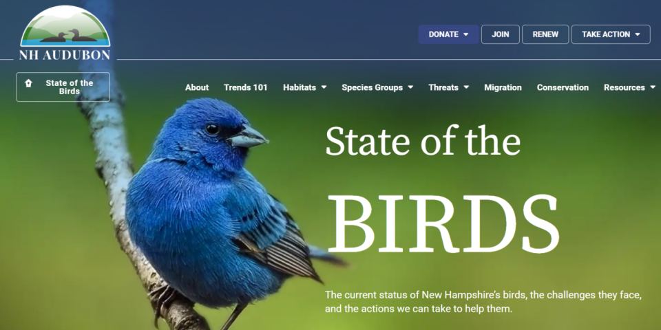 New Hampshire Audubon recently debuted its “State of the Birds” website, where the public can look up information about the status of the Granite State’s birds, challenges they face, and actions to protect them.
