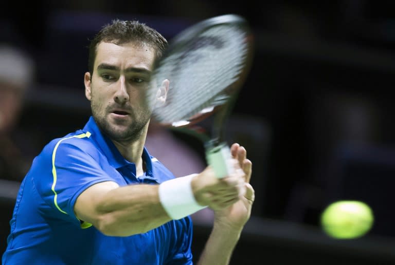 Croatia's Marin Cilic returns the ball during the first round of the ABN AMRO World Tennis Tournament on February 8, 2016 in Rotterdam