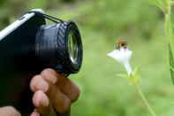 <p>Komang takes macro images using his Samsung Galaxy J7 Prime and a homemade camera lens. (Photo: Komang Wirnata/Caters News) </p>