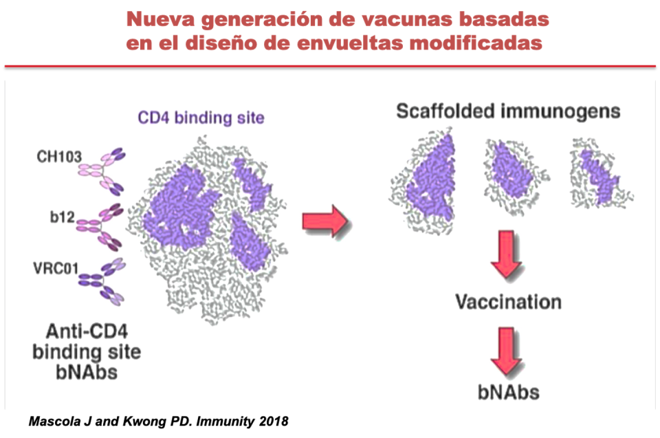 Mascola J y Kwong PD. Inmunity 2018