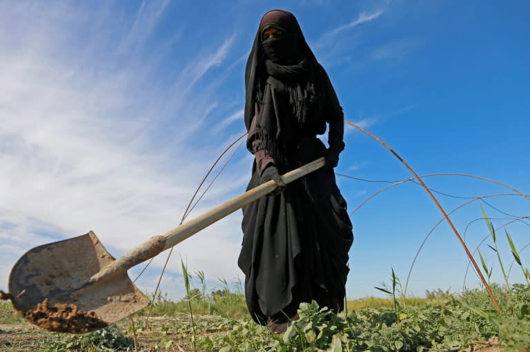 A female Iraqi farmer digs with a shovel in a field in Diwaniyah, around 160 kilometres (100 miles) south of the capital Baghdad, on April 2, 2018