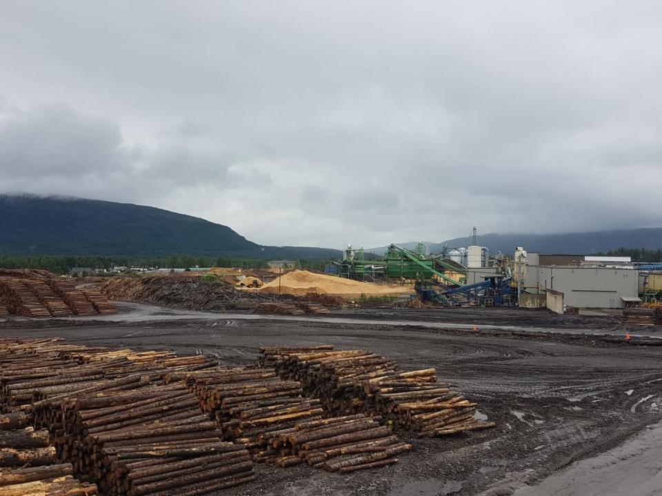 The permanent closure of Canfor's sawmill and pellet plant in Chetwynd, and the temporary closure of its sawmill in Houston, will lead to the loss of about 400 jobs, according to the union representing Canfor's workers. (Andrew Kurjata/CBC - image credit)
