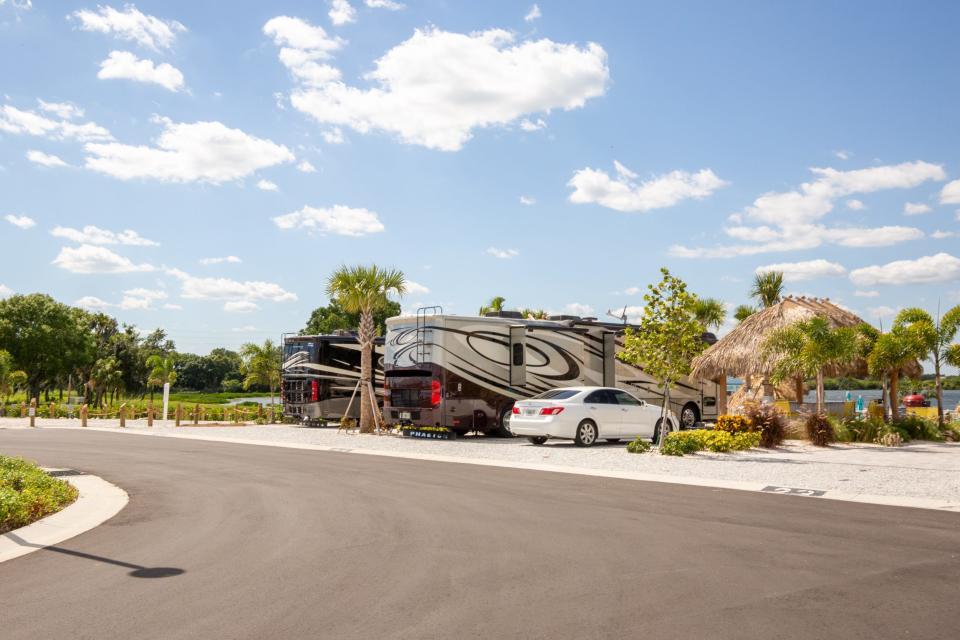 RVs parked at a RV park among palm trees.