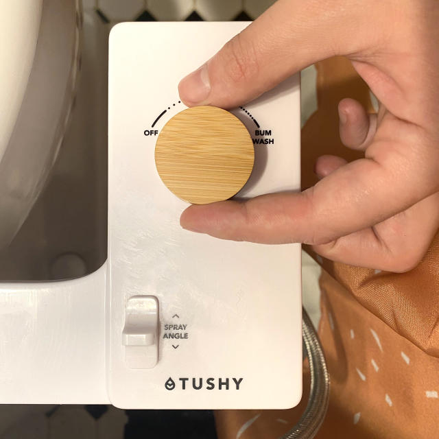 How to Clean A Toilet and Why It Matters — TUSHY
