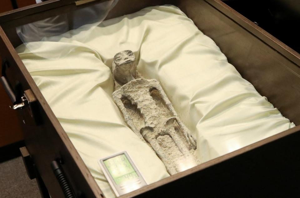 The mummified remains were claimed to have DNA which is 30 per cent ‘unknown’ (Reuters)