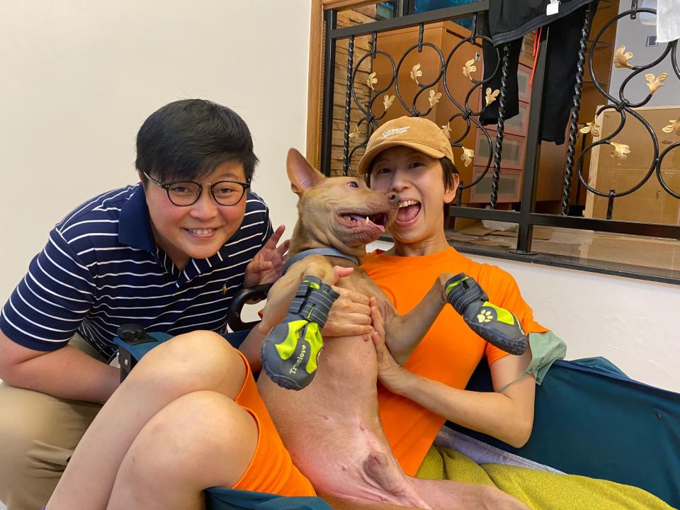 動物物理治療師Win Chen（左）形容即使是有殘疾的貓狗，仍然努力追求更好的生活，主人不應放棄他們。