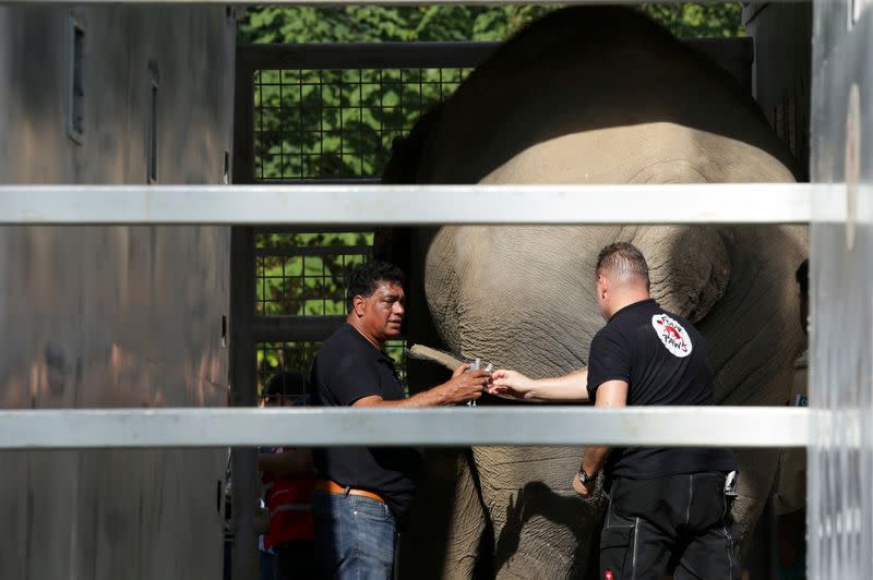 Pakistan's lonely elephant heads for Cambodia, in Islamabad