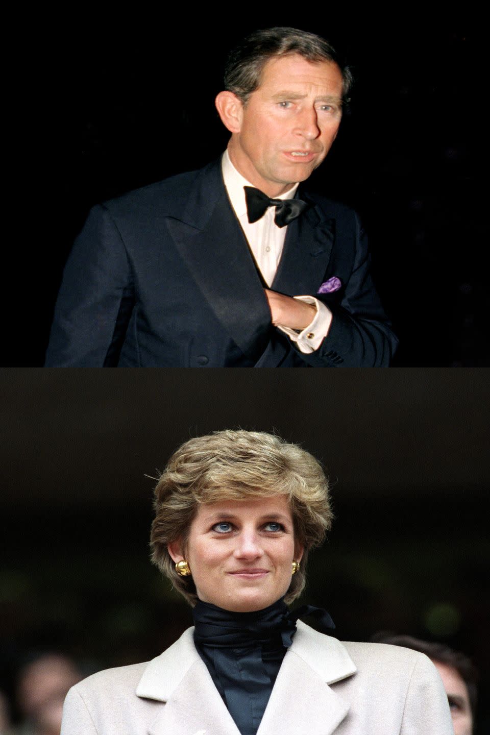 1995: Prince Charles vs. Princess Diana