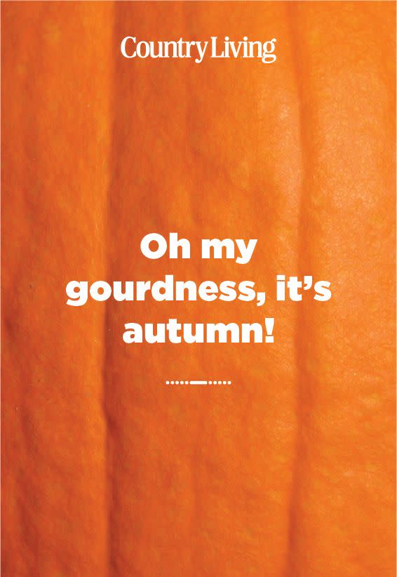 11) Oh My Gourdness, It's Autumn!