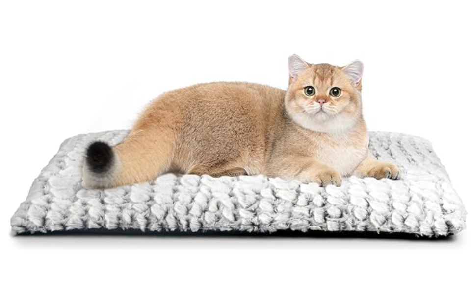 Amazon pet bed