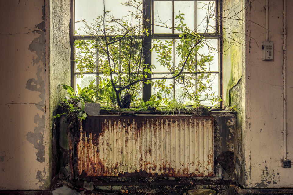 Photographer travels across Europe to document beautiful overgrown sites