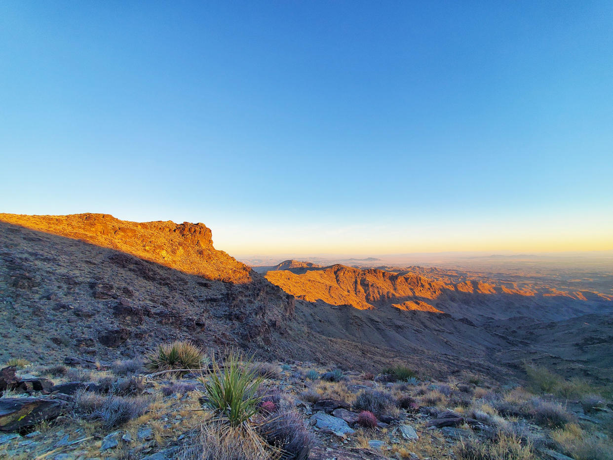 Mojave desert