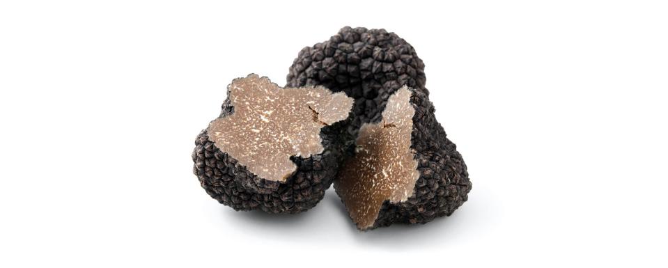 Black truffles are found in the Périgord region in France.
