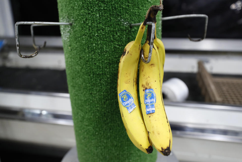 Bananas sit on a display rack at a local super market, Friday, May 29, 2020, in Des Moines, Iowa. As if trips to the grocery store weren't nerve-racking enough, shoppers lately have seen the costs of meat, eggs and even potatoes soar as the coronavirus has disrupted processing plants and distribution networks. (AP Photo/Charlie Neibergall)