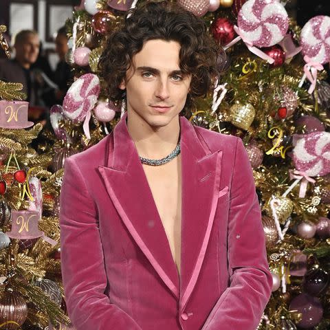 <p>Alan Chapman/Dave Benett/WireImage</p> Timothée Chalamet