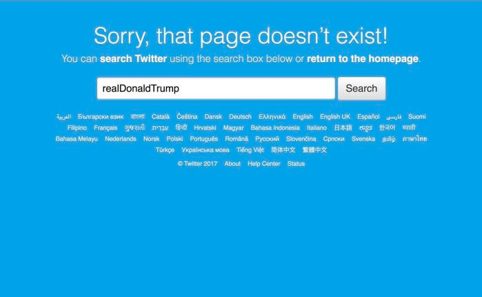 Donald Turmp's Twitter account was deactivated for 11 minutes. Photo: Twitter