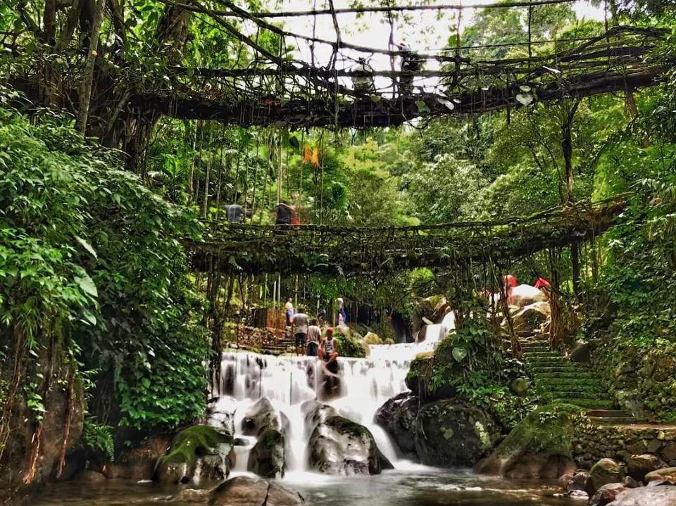 Los puentes de raíces de Cherrapunji (India)