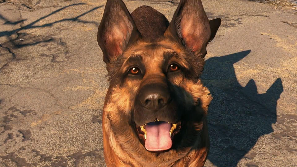 39. Dogmeat