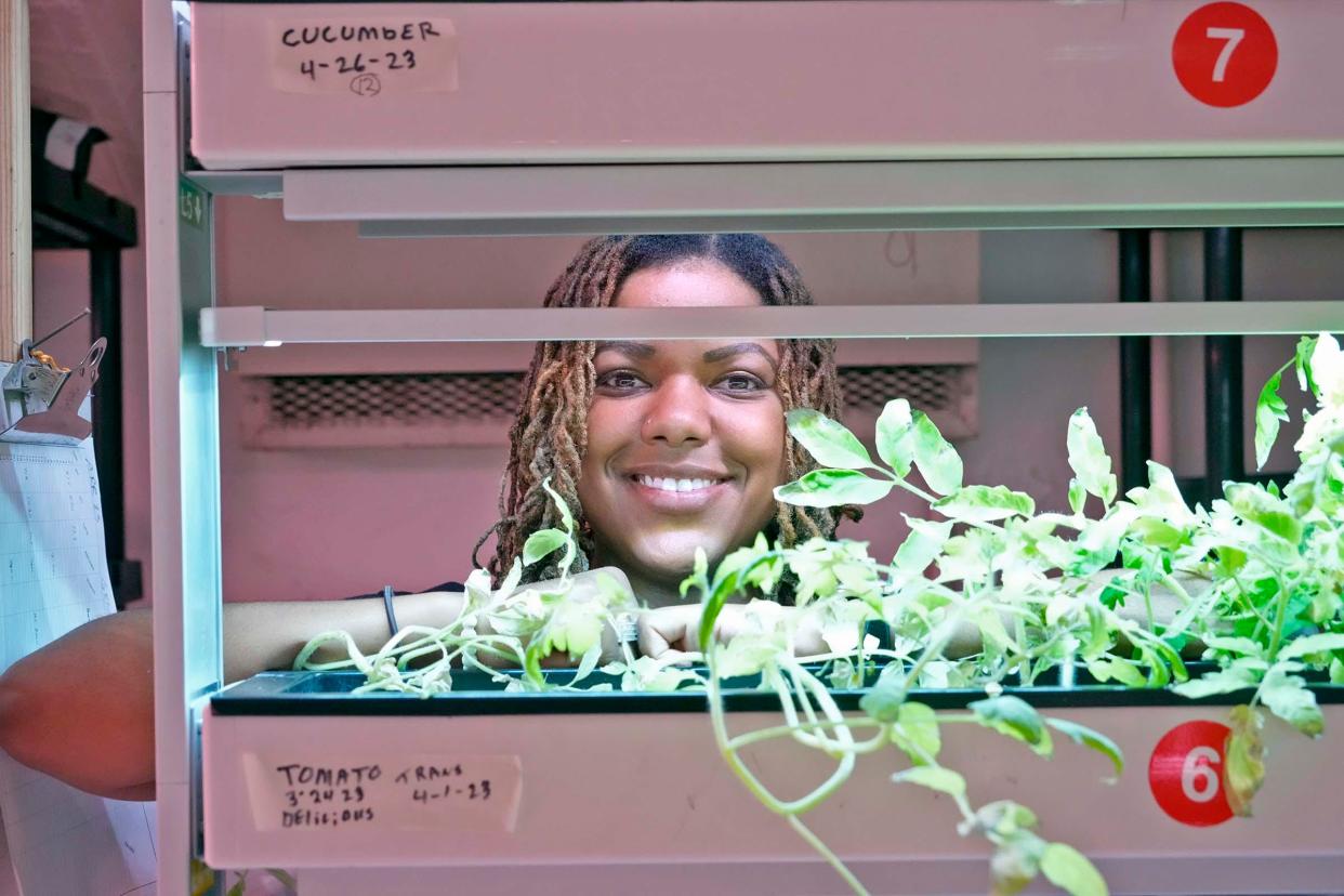 Maricha Harris, Dominican Center executive director, smiles as tomato plants grow in a hydroponic growing system at the Dominican Center on West Locust Street in Milwaukee on Thursday, June 22, 2023. The Dominican Center has an urban farm that it's planning to expand to help combat the Amani's neighborhood "food desert.”