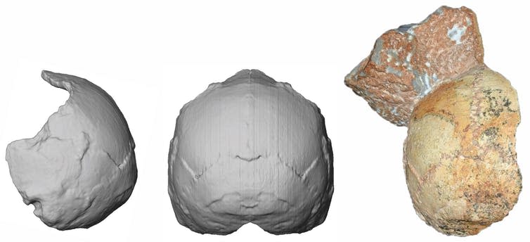 <span class="caption">Apidima 1 and its reconstruction.</span> <span class="attribution"><span class="source">Katerina Harvati, Eberhard Karls University of Tübingen.</span></span>