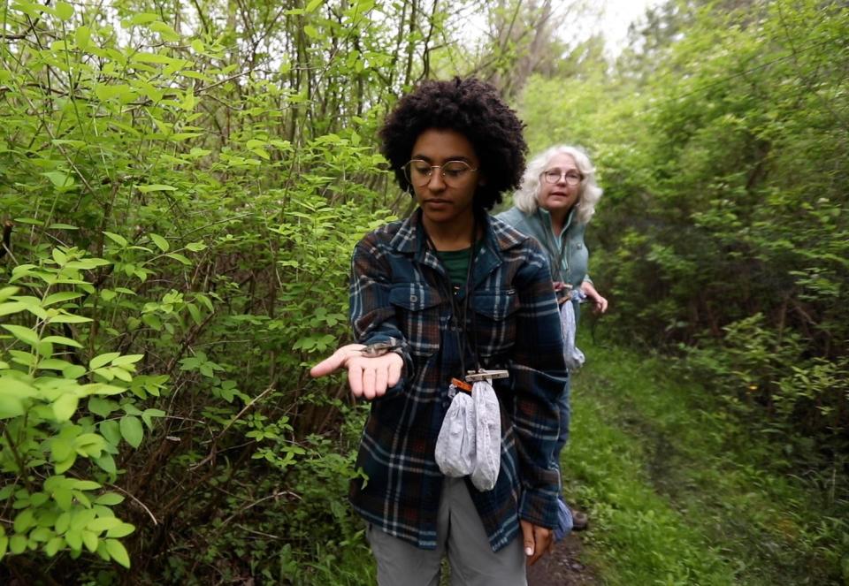  Aubrianna Brown holds open her hand to let a hummingbird fly away.  Braddock Bay Bird Observatory does not have a license to band hummingbirds so they released it right away.