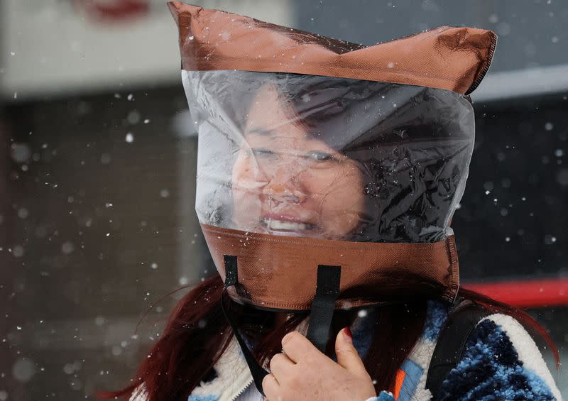 Snowfall in Beijing