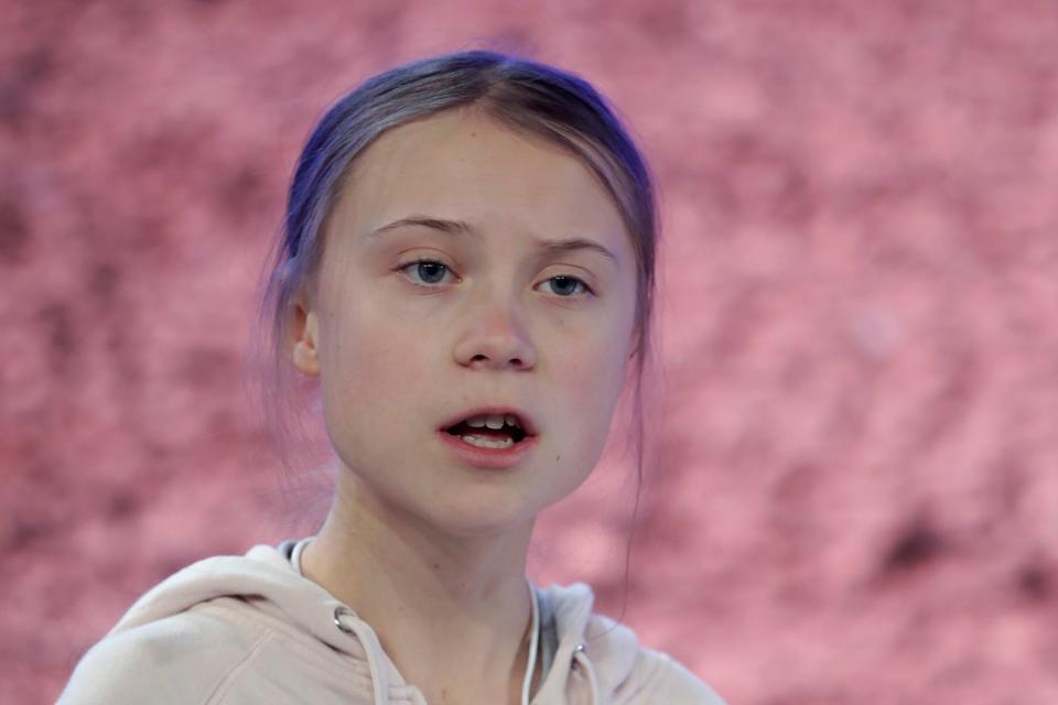 Swedish environmental activist Greta Thunberg addresses guests at the World Economic Forum in Davos (AP)