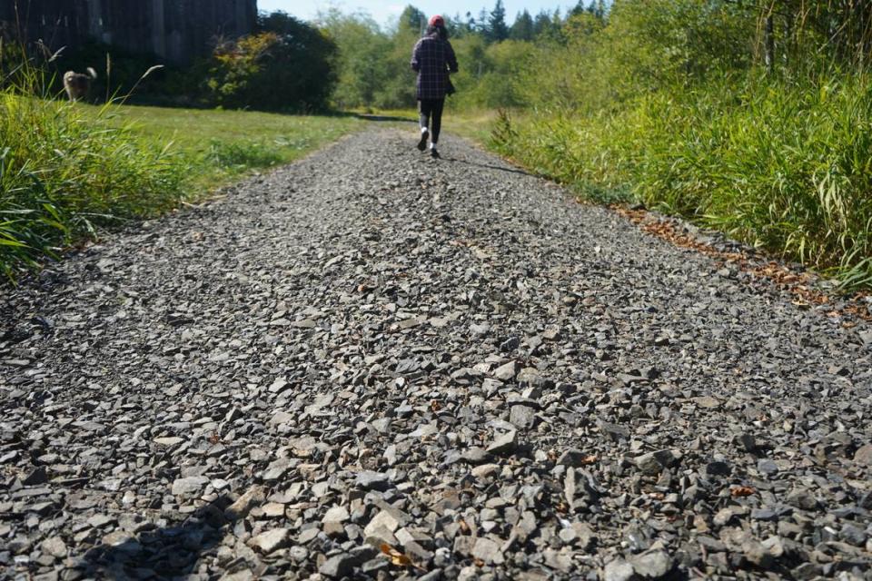 A gravel road near the site of the proposed Ranch Quarry Mine is made up of rock from a smaller, existing mine on the site. Members of HOMEWhatcom living near the proposed site are worried about the possibility of asbestos in the rocks.