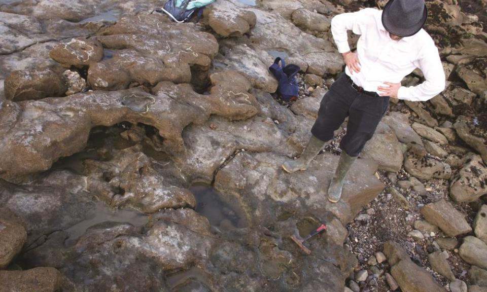 Fossilised footprints in Folkestone and Dover.