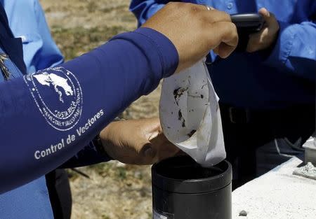 A health worker inspects a trap for aedes aegypti mosquito in San Jose, Costa Rica February 23, 2016. REUTERS/Juan Carlos Ulate