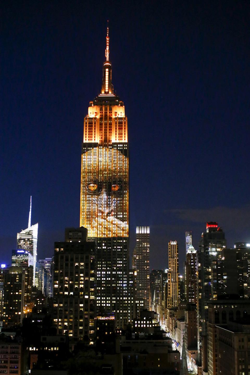 An image of an animal is projected onto the Empire State Building as part of an endangered species projection to raise awareness, in New York August 1, 2015. (REUTERS/Eduardo Munoz)