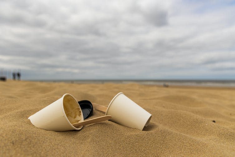 Two disposable coffee cups immersed in sand on a beach.