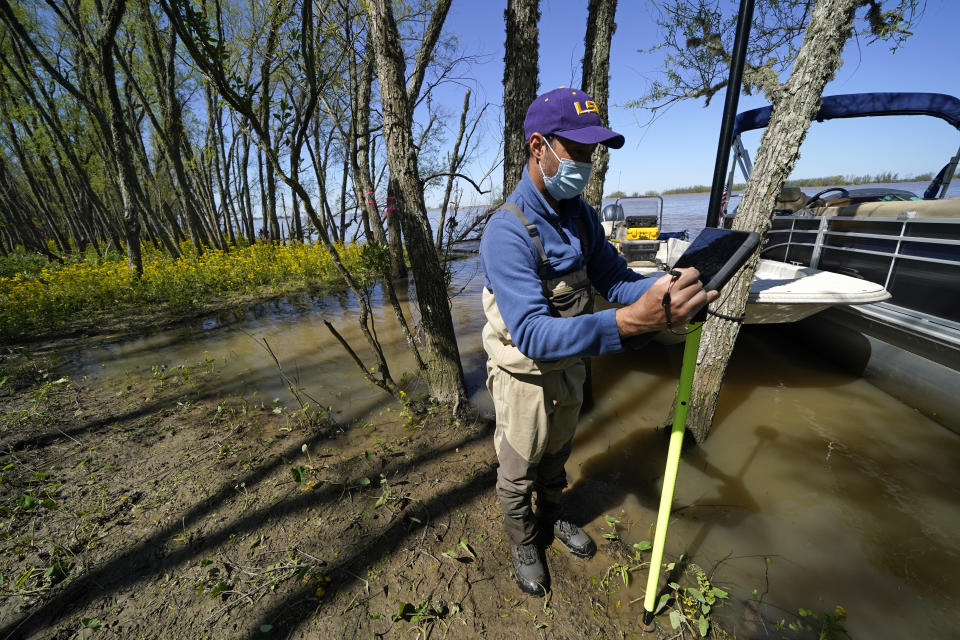 Andre Rabay, research scientist for the LSU Department of Oceanography and Coastal Science uses a real time kinetic (RTK) GPS to take measurements on Mike Island, part of the Wax Lake Delta in the Atchafalaya Basin, in St. Mary Parish, La., Friday, April 2, 2021. NASA is using high-tech airborne systems along with boats and mud-slogging work on islands for a $15 million study of these two parts of Louisiana's river delta system. (AP Photo/Gerald Herbert)